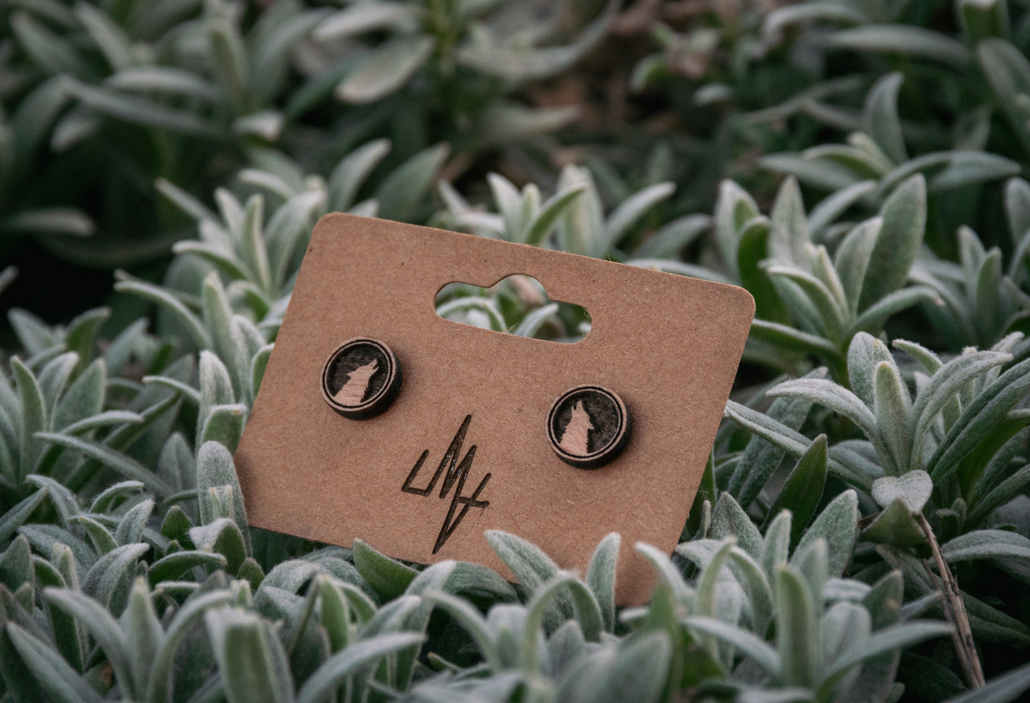 Boucles d’oreilles en bois